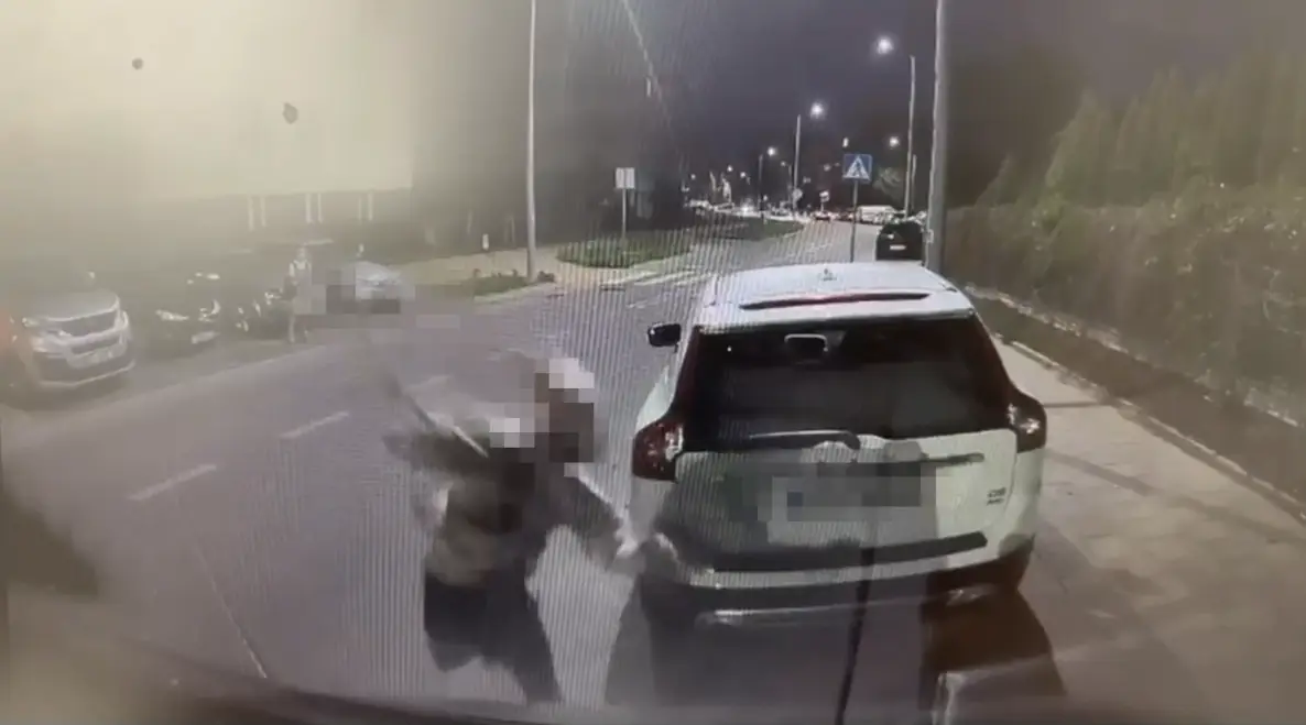 Policja zatrzymała młodych mężczyzn za niszczenie samochodów